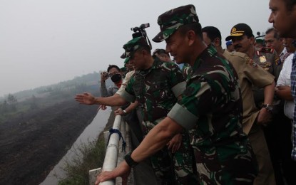 Panglima TNI Tinjau Penanggulangan Kebakaran Hutan di Kalteng